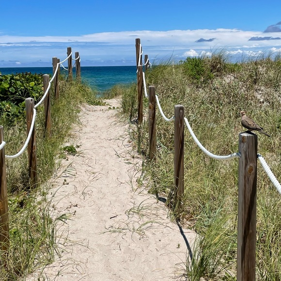 Meet us! One With The Sea - Picture 8 of 10